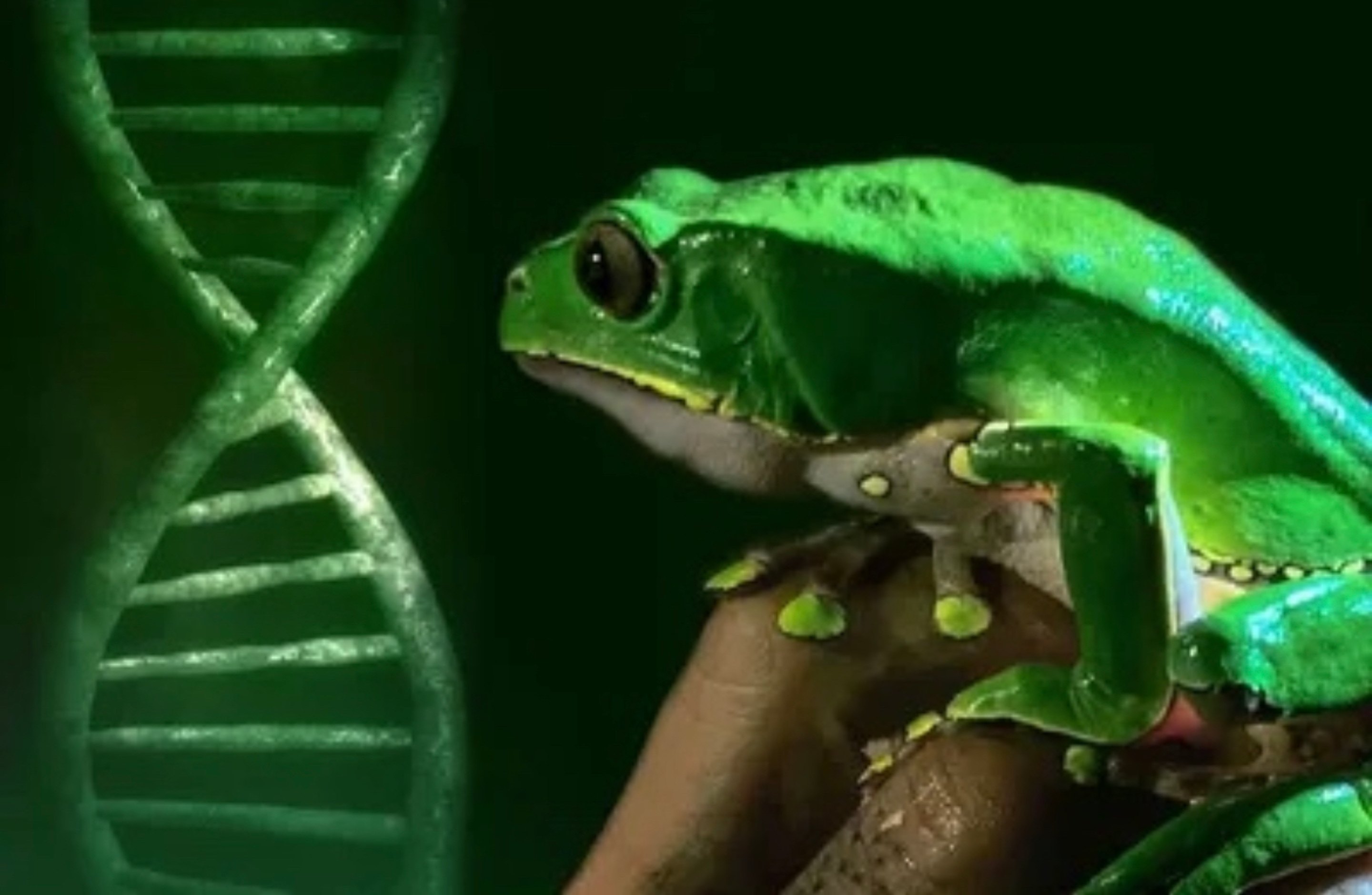 Spirituelle Begleitung Fallstudien